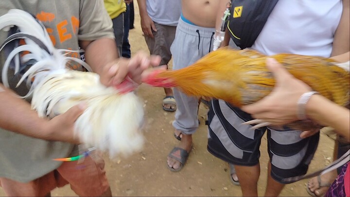 panalo mga idol sinibalang po atin dyan, mabilis nya lang tinapos