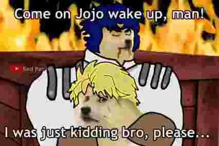 Doge Jonathan n Dio doge