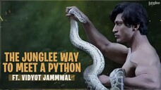 JUNGLEE (2019) Hindi.Untouched.WEB.DL.720p.AVCx264.AAC (Superhit Bollywood Hindi