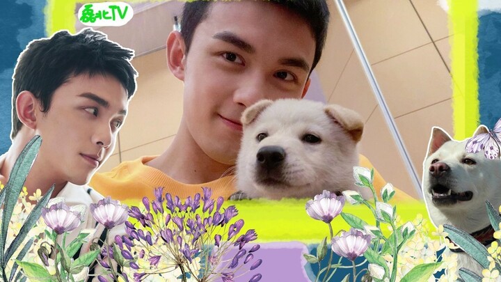 Wu Lei and Xiao Bei's daily two-way love Lei Bei is real