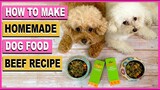 HOMEMADE DOG FOOD- DIY Beef Recipe| Vet Formulated| The Poodle Mom