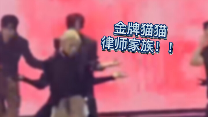 【猫猫拉茶】大猫和小猫用的是同一套运动系统！！！
