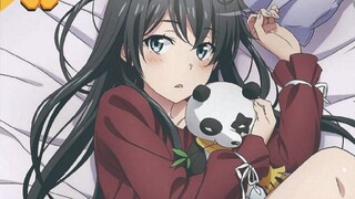 "Oregairu" เล่มสุดท้ายได้ปล่อยปก BD และโบนัสออกมาแล้ว! ใครจะไม่อยากซื้อยูกิโนะสุดน่ารักบ้างล่ะ?