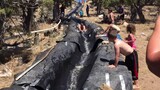 Massive Homemade Waterslide in the Desert