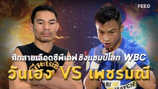 ศึกสายเลือดซีพีเอฟ ชิงแชมป์โลก WBC "วันเฮง VS เพชรมณี" : FEED