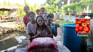 Fruits and Vegetables Challenge with Flour (ATV)