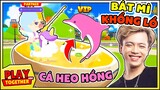 Mr Vịt phát hiện BÍ MẬT trong BÁT MÌ KHỔNG LỒ Play Together | Bắt cá Heo Hồng trong tiệm mì