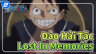 Đảo Hải Tặc|「AMV」Lost In Memories_2