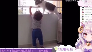 日本小羊看会照顾小孩子的猫猫