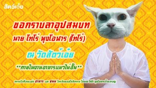 โทโร่ลาบวช | สัตว์เอ๋ย