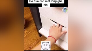 Có đứa con mát lòng ghê ☺️☺️☺️ meocute❤ funnyvideos yeumeo thucung thegioimeo