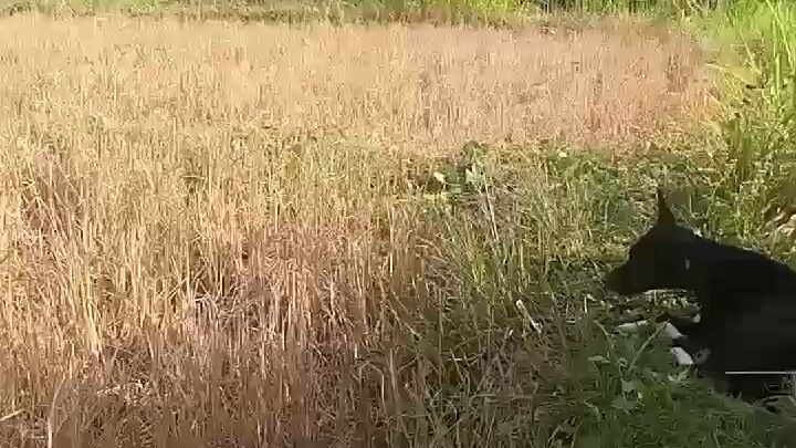 #LugarNaHindiIkaBaylo