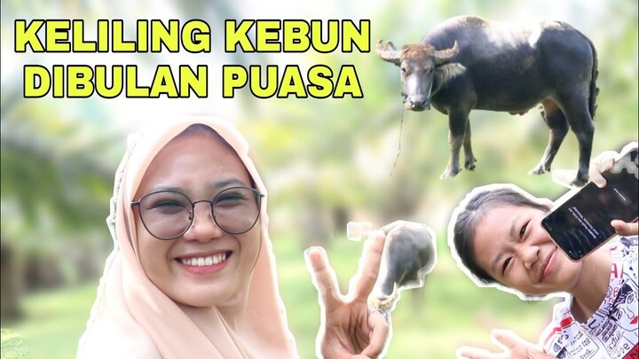 VLOG RANDOM DIKEBUN || EDISI CARI DUREN DAN JADI PENGEMBALA DIBULAN PUASA