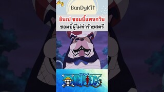 วันพีช:ซอมบี้แพนกวิน #shorts #onepiece #roblox #bloxfruits #tiktok #fypシ #fyp #anime #gaming #funny