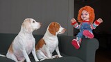 Chucky Pranks Dogs สุนัขตลก & Michael Myers เอาชนะ Chucky