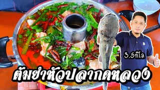 ต้มยำหัวปลากดหลวงหม้อไฟ ไซด์ใหญ่3.5 กิโล สูตรป๋าแดง