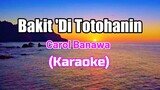 Bakit 'Di Totohanin - Carol Banawa (Karaoke)