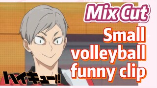[Haikyuu!!]  Mix cut |  Small volleyball funny clip