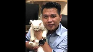 Milktea's visit to the Vet