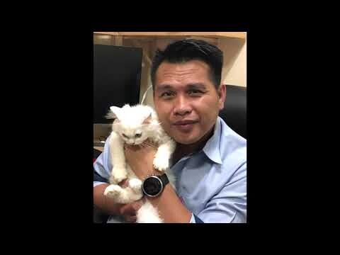 Milktea's visit to the Vet