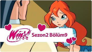 Winx Club - Sezon 2 Bölüm 9 - Profesör Avolon'un Sırrı