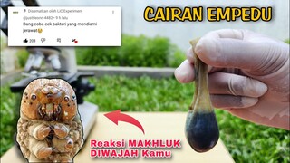 EKSPERIMEN: CAIRAN EMPEDU vs DEMODEX.. MAKHLUK KECIL di WAJAH MANUSIA