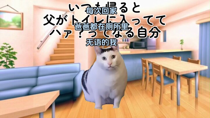 【熟/猫meme】无论何时都在厕所的爸爸