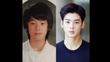 kpop idols who had plastic surgery according to plastic surgeon
