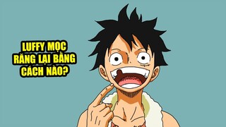 ONE PIECE TẤU HÀI xem đi xem lại 1000 lần vẫn cười | Bác Năm Online