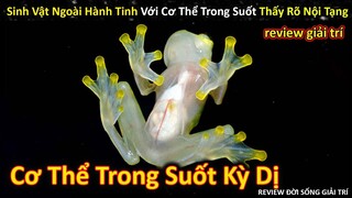 Những Hiện Tượng Khó Lý Giải Đáng Sợ Của Các Sinh Vật Quái Dị Và Độc Lạ || Review Giải Trí Đời Sống