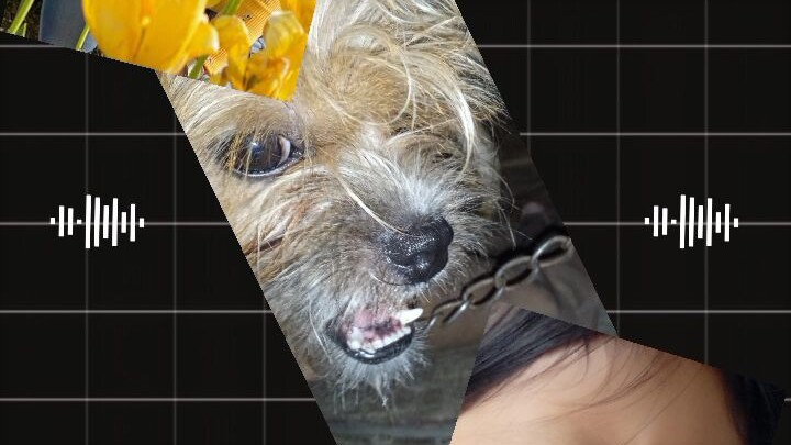 𝙼𝚈 𝙽𝙴𝚆 𝙵𝙰𝙼𝙸𝙻𝚈