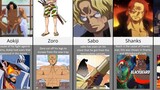 The Scars Of One Piece Characters And How They Got Them 2022
