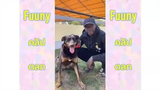 รวมฉากหกล้ม อันตรายนะ น่ากลัว น่าสงสาร เอาจูบๆ เหม็นมาก ฮาทุกฉาก ขำไม่ไหว！#Funny