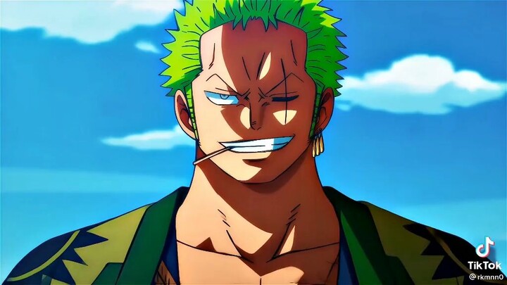 Zoro being a bad ass