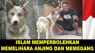 Ternyata anjing boleh di pelihara dan boleh di pegang !