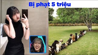 Cô gái "người yêu phải chiều em chứ" bị phạt 5 triệu - Top comment hài FB.