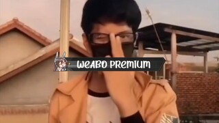 WIBU PREMIUM