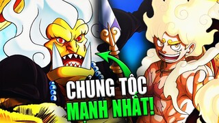 Chủng Tộc Của "THẦN"? - Những Chủng Tộc Mạnh Mẽ Nhất Trong One Piece!!!