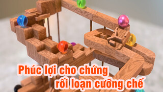 Phúc lợi cho chứng rối loạn cưỡng chế