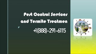 Termite Treatment Services 📲 𝟭(𝟖𝟖𝟖‣𝟐𝟗𝟏‣𝟔𝟏𝟏𝟓)👈 Termite Treatment Phone Number🎭 U.S.A Te