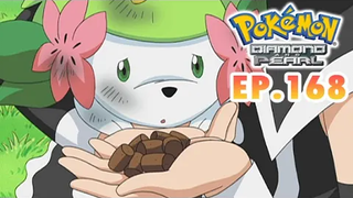 Pokémon Diamond and Pearl EP168 เชมินโผบินสู่ท้องฟ้าอันกว้างไกล Pokémon Thailand Official