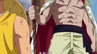 Ayah harimau tidak memiliki anak anjing, Luffy dan Shirohige memiliki dialog yang sama, menakuti sem