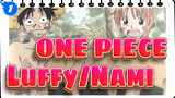 [ONE PIECE] Pertemanan Antara Luffy And Nami_1
