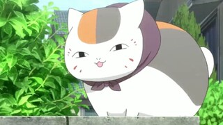 [Natsume Yuujinchou Roku] Seri kucing backpacking~