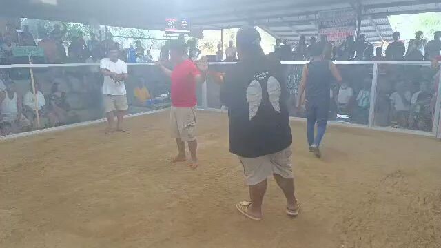 Don Ramon last fight ( loss )