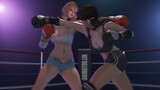 [MMD]Thực hành về trận đấu quyền anh của hai quý cô trong hoạt hình