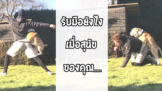 รวมคลิปฮา Fail พากย์ไทย