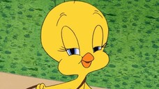 Tweety's High-Flying Adventure การผจญภัย 80 วันรอบโลกของ ทวิตตี้ (เสียงไทย VCD)