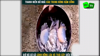 Cuộc sống hoang dã trong rừng p6