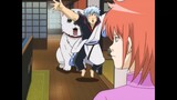 Gintama: Gin-san and Sadaharu swap bodies